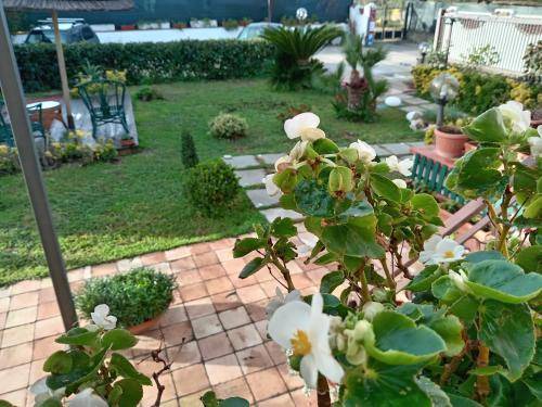 Scauri Bed & Breakfast | 18 m² Bed and breakfast ∙ 2 guests