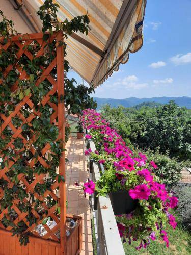 Odalengo Grande Bed & Breakfast | 20 m² Bed and breakfast ∙ 3 guests