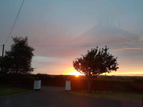 Downpatrick Bed & Breakfast | 20 m² Bed and breakfast ∙ 2 guests