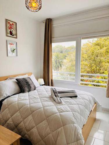 Quartier Administratif Apartment | 27 m² Apartment ∙ 1 bedroom ∙ 2 guests