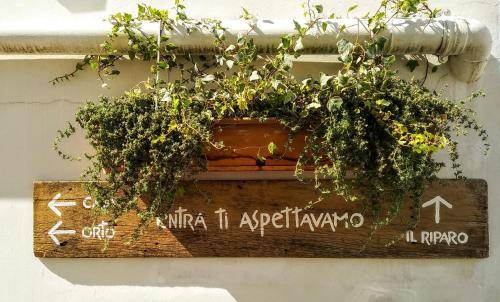 Crispiano Hostel | 30 m² Hostel ∙ 8 guests
