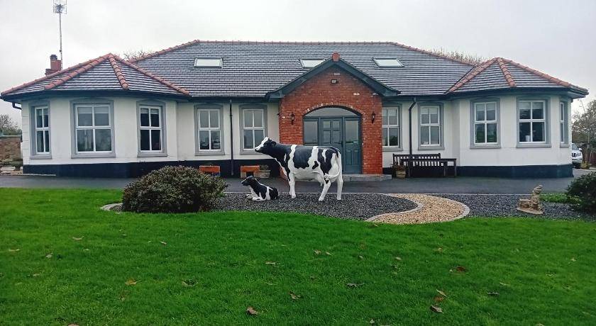 Loughinisland Bed & Breakfast | 36 m² Bed and breakfast ∙ 4 guests