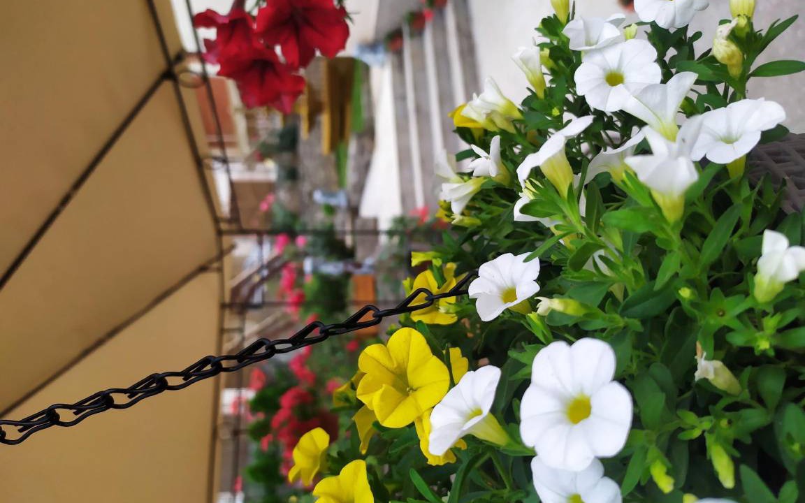 Nis Apartment | 65 m² Apartment ∙ 2 bedrooms ∙ 6 guests