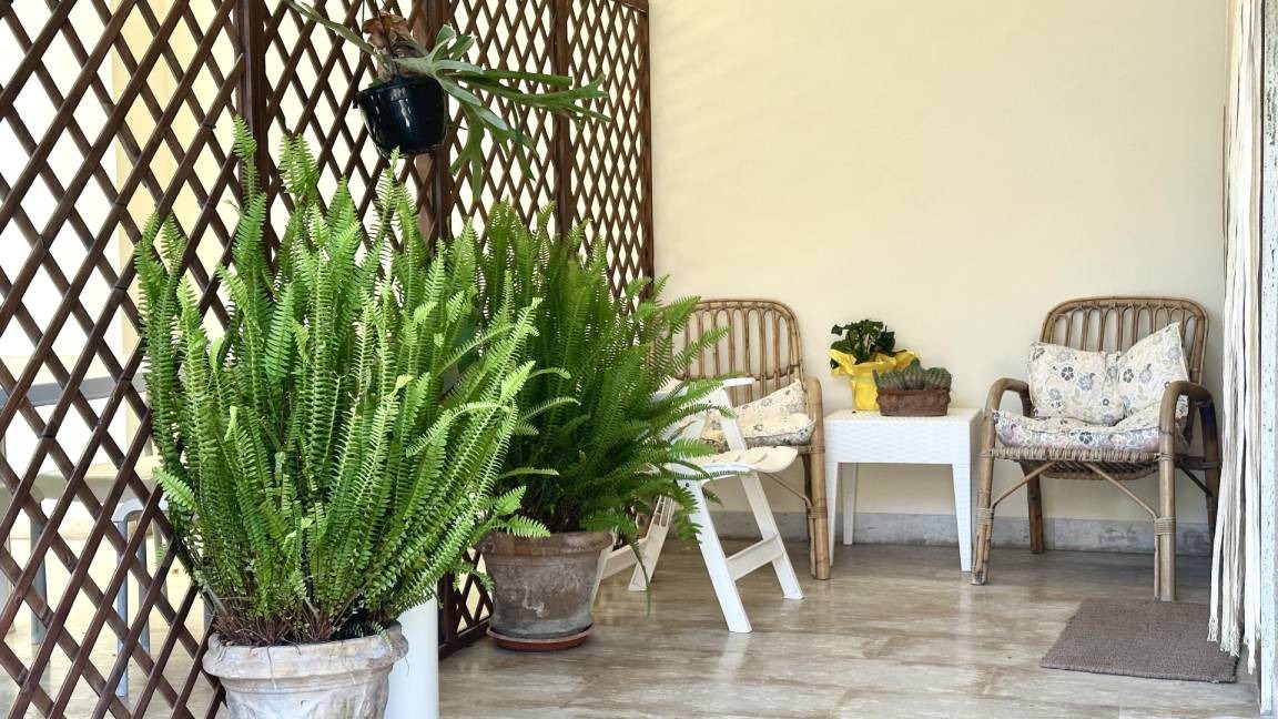 Senigallia Apartment | 65 m² Apartment ∙ 2 bedrooms ∙ 6 guests