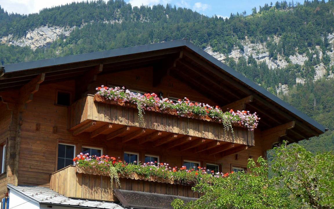 Brienzwiler Apartment | 66 m² Apartment ∙ 2 bedrooms ∙ 4 guests