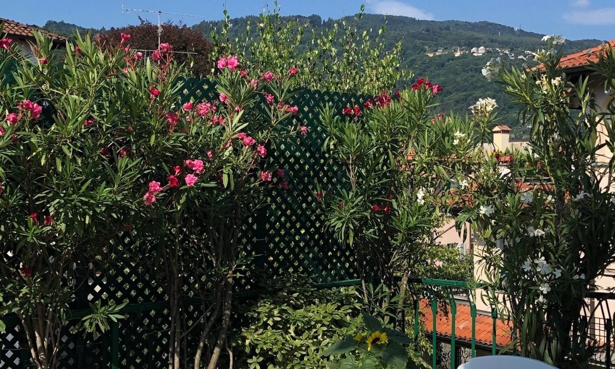Stresa Apartment | A terrace with mountain view, quiet and spacious apartment.