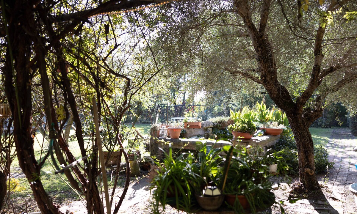 Castelfranco Emilia Bed & Breakfast | Acetaia Malagoli Daniele e B&B