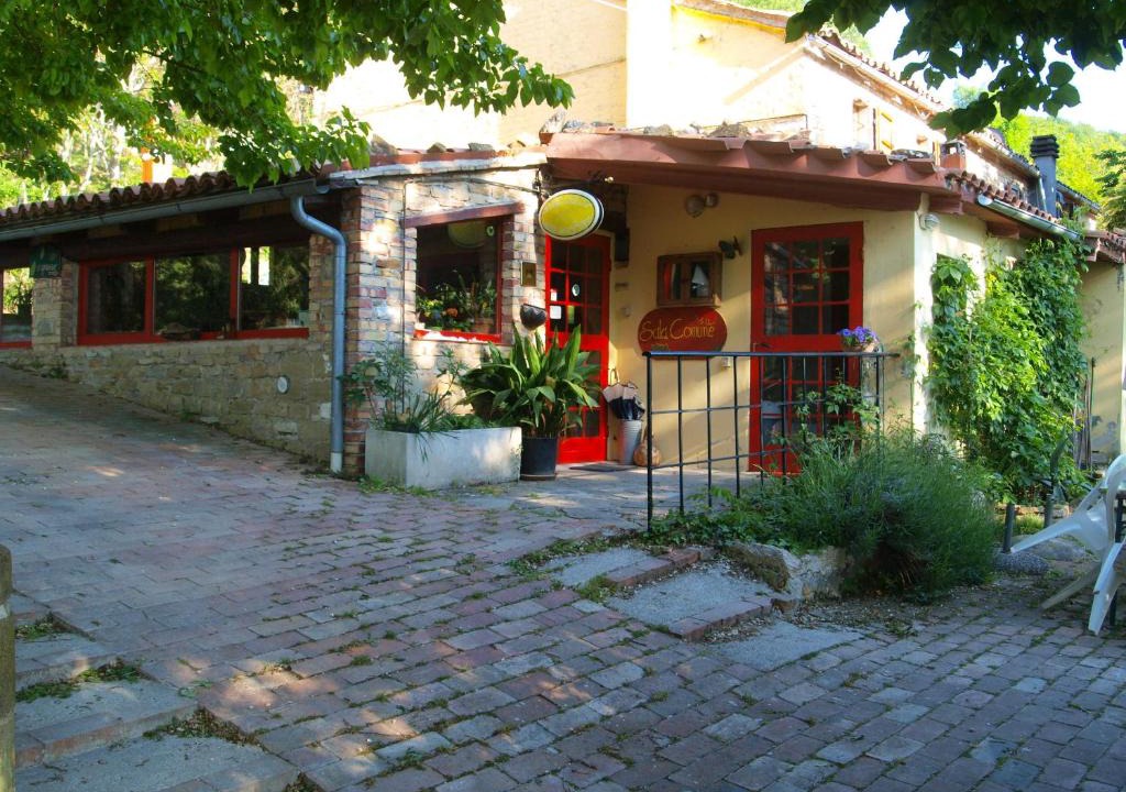 Serra San Quirico House | Agriturismo Becerca Vegan