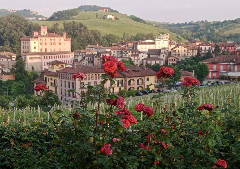 Barolo House | AL CIVICO 20 L'impero Del Sole!