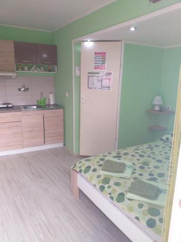 Vrdnik Apartment | Apartman Andjela 1