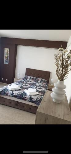 Vrsac Apartment | Apartman Ivan