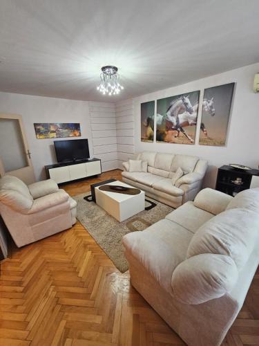Pirot Apartment | Apartman Maks 2