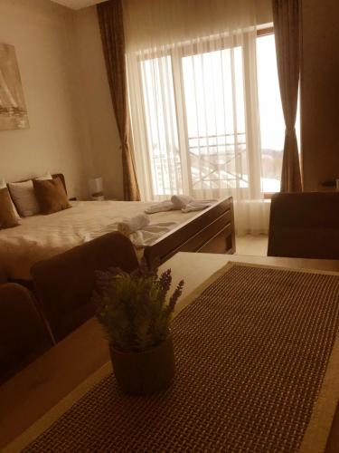 Lisina Apartment | Apartman “N 17”Milmari-Kopaonik