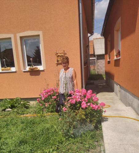 Apartmani | Sjenica