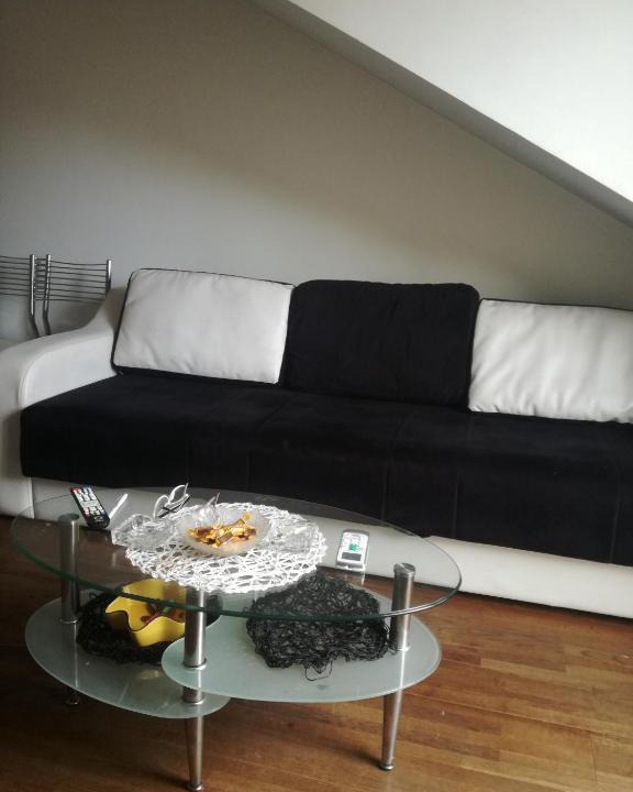 Vrnjacka Banja Apartment | apartment Milijana