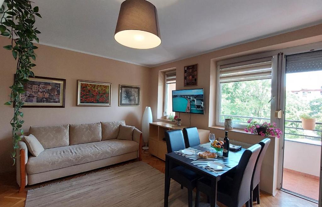 Grbavica Apartment | Apartment Rada