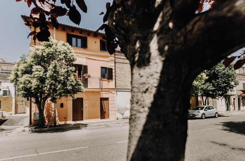 Vasto Bed & Breakfast | B&b La Cicala