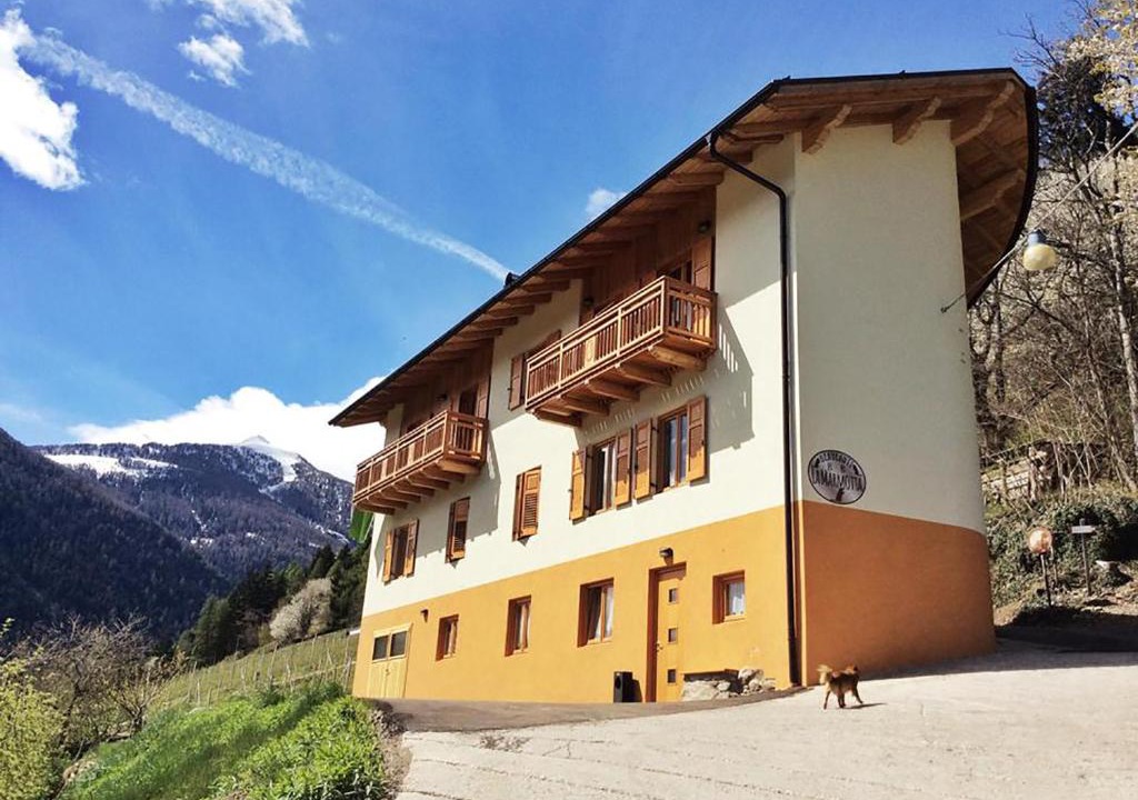Male Bed & Breakfast | B&B La Marmotta