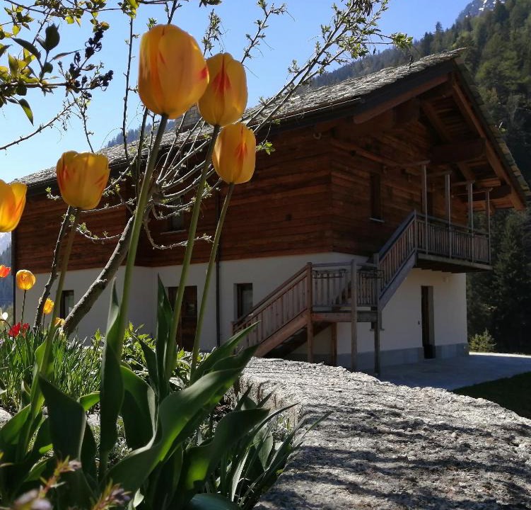 Bieltschocke Bed & Breakfast | B&B Lorelei