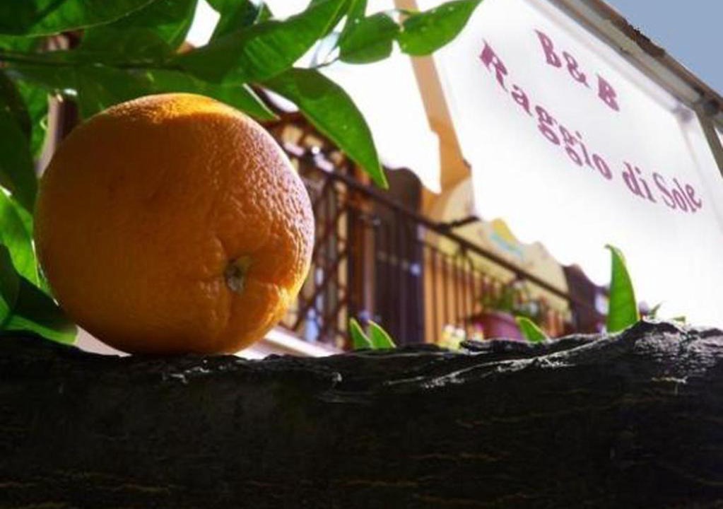 Lake Bracciano Bed & Breakfast | B&B Raggio Di Sole