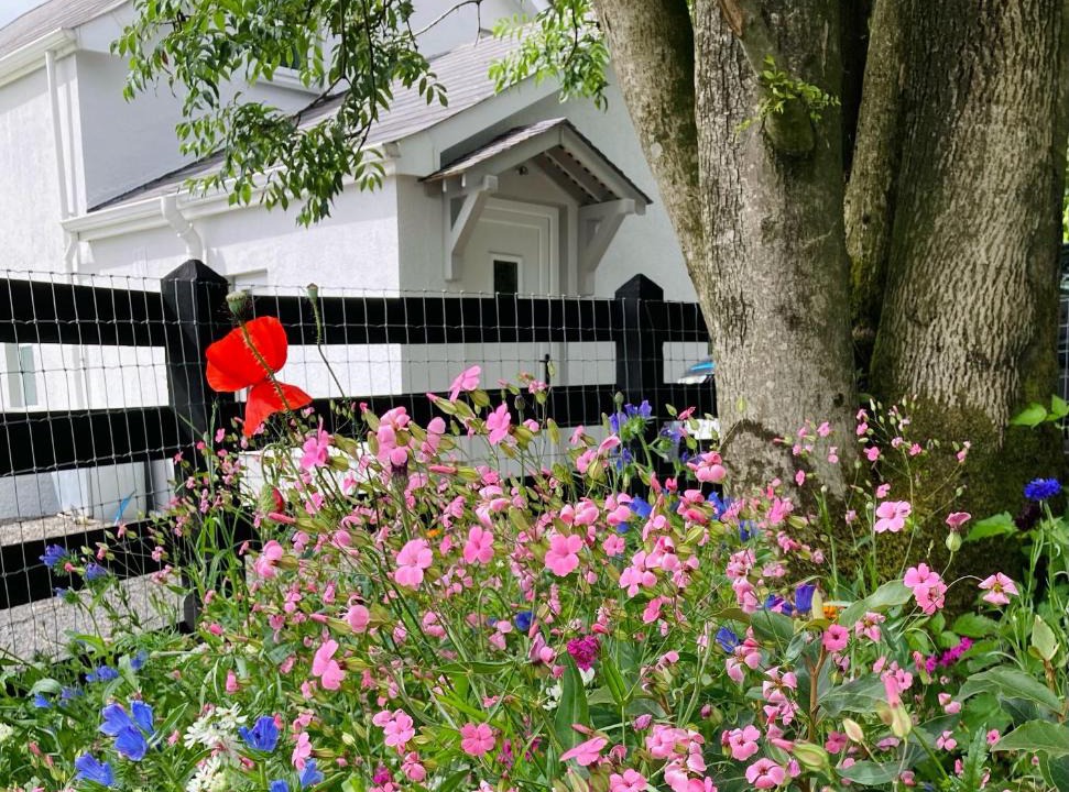 Lisnagunogue House | Beech Tree Cottage