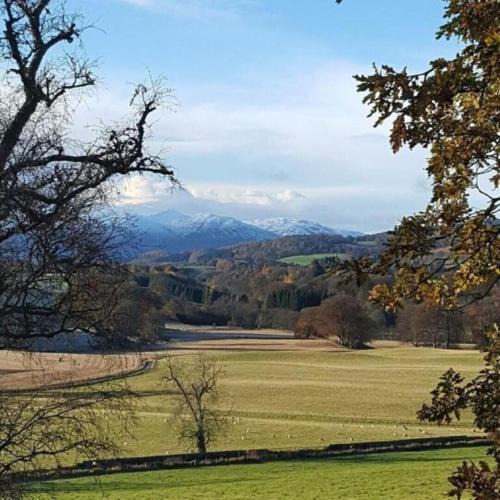Perth House | Birch Lodge, Pitlandie - Luxury 2 Bedroom Lodge with Sauna