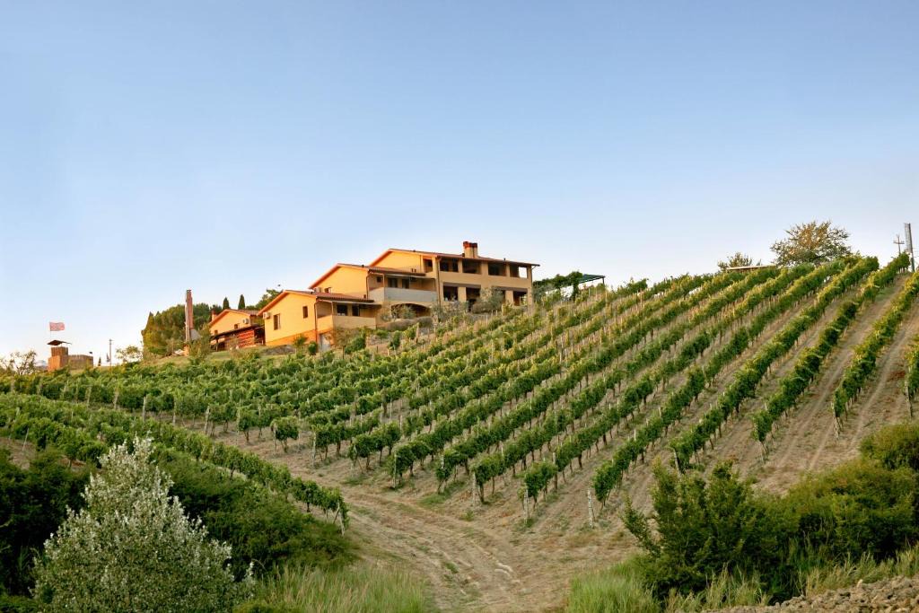 Montespertoli Apartment | Borgo Filicardo