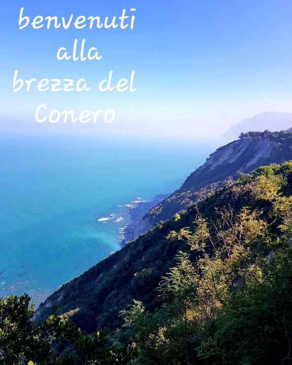 Ancona Apartment | BREZZA DEL CONERO