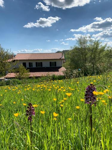 Nerbisci Bed & Breakfast | Butterflies Rest