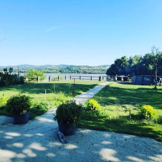 Cerevic House | Captain's house by the Danube river