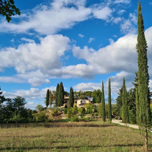 Bucine Villa | Casa Colonica
