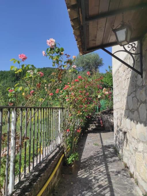Rionero Sannitico House | Casa Vacanze Le Vigne