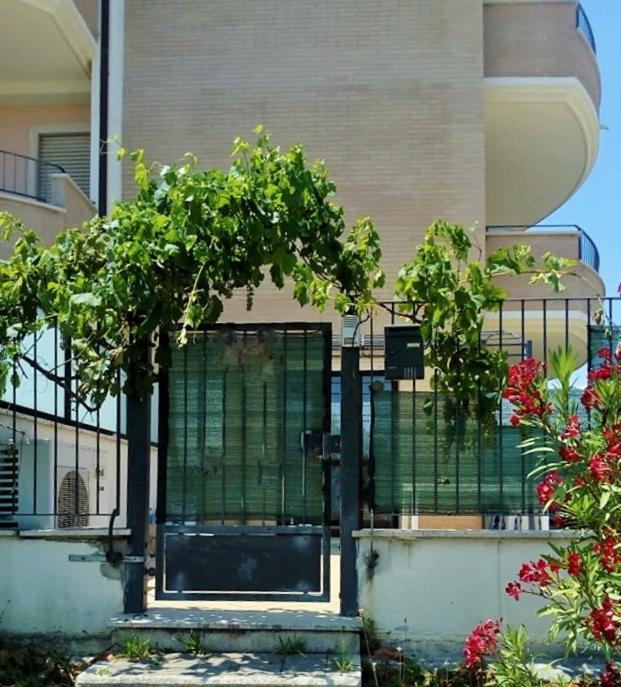 Cupra Marittima Apartment | casetta al mare