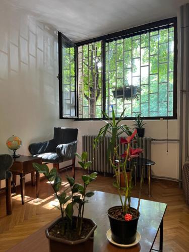 Palilula Hostel | Chillton hostel