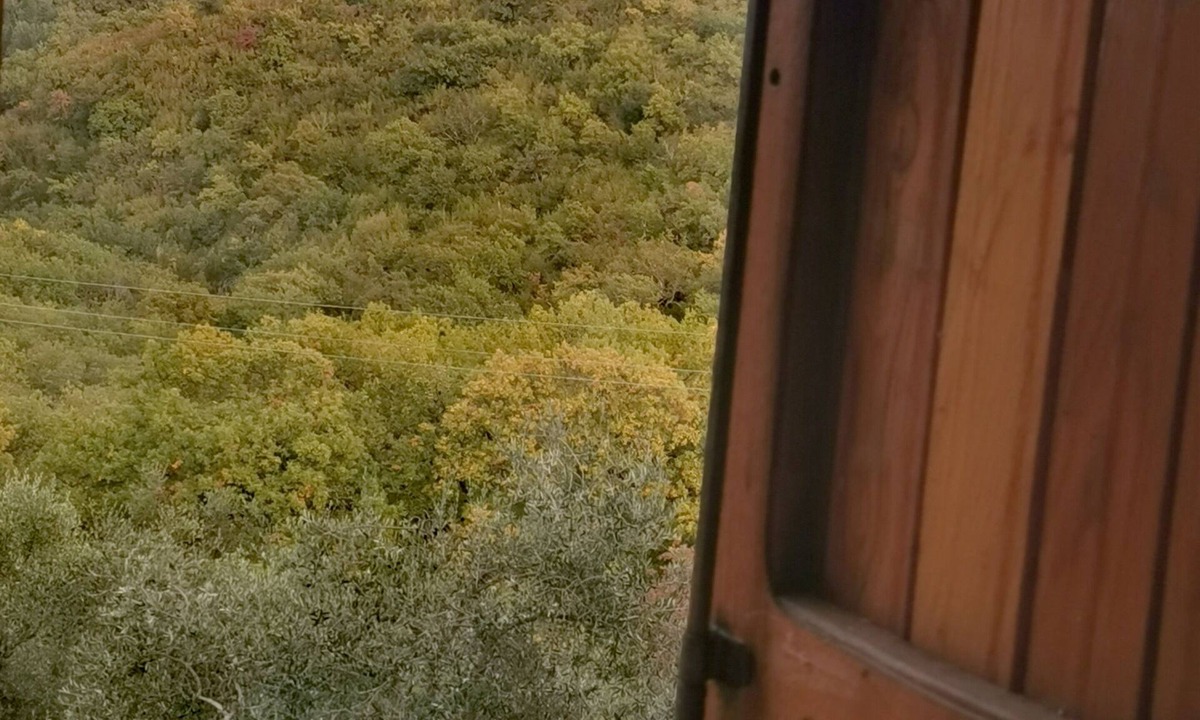 Rignano sull'Arno House | Cosy House into the wild