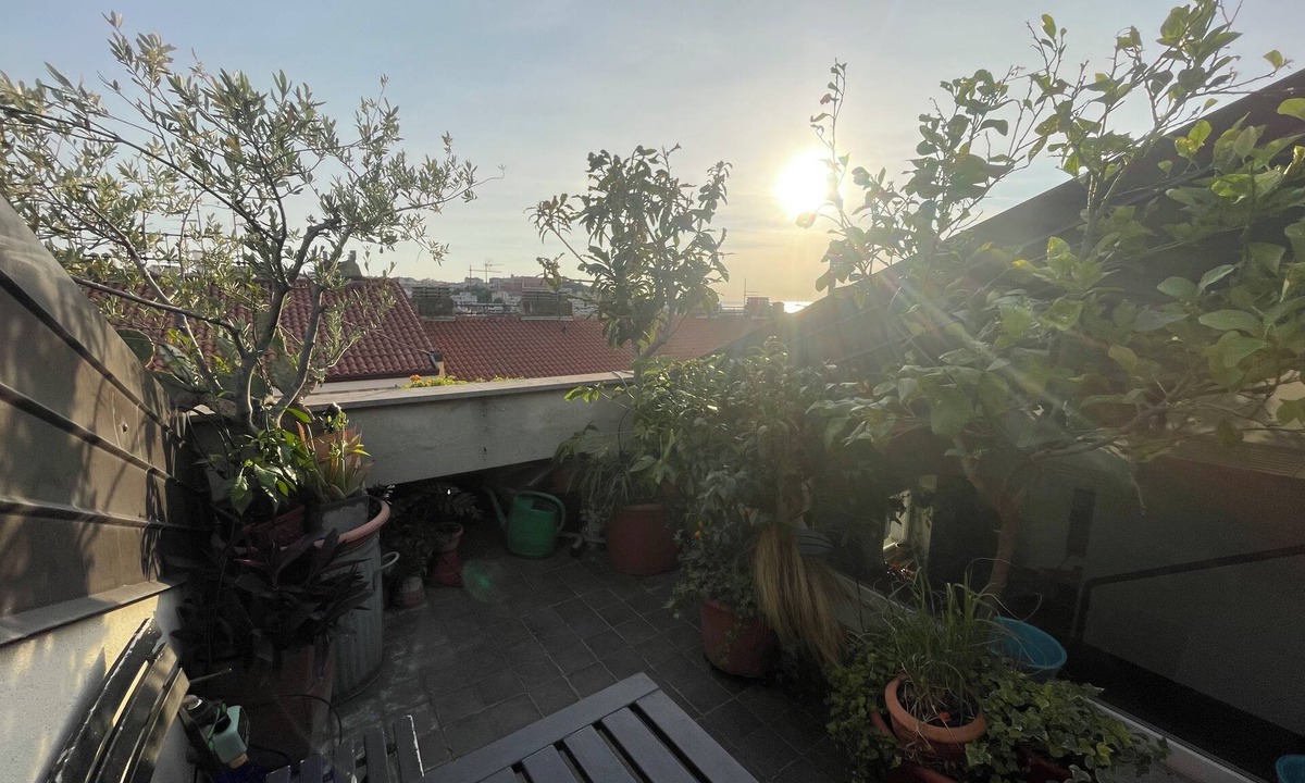 San Giovanni-Chiadino-Rozzol Bed & Breakfast | cosy room with sea view terrace in an architect's house