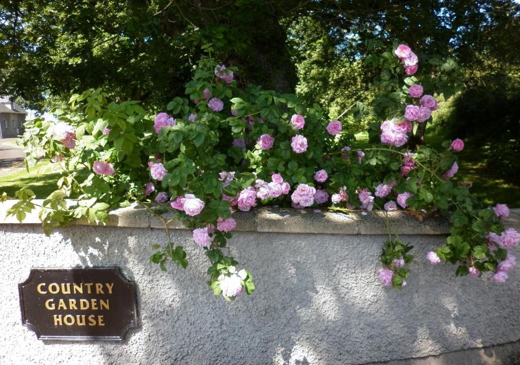 Ballymoney House | Country Garden House Holiday Homes