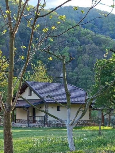 Okletac House | Drinski merak