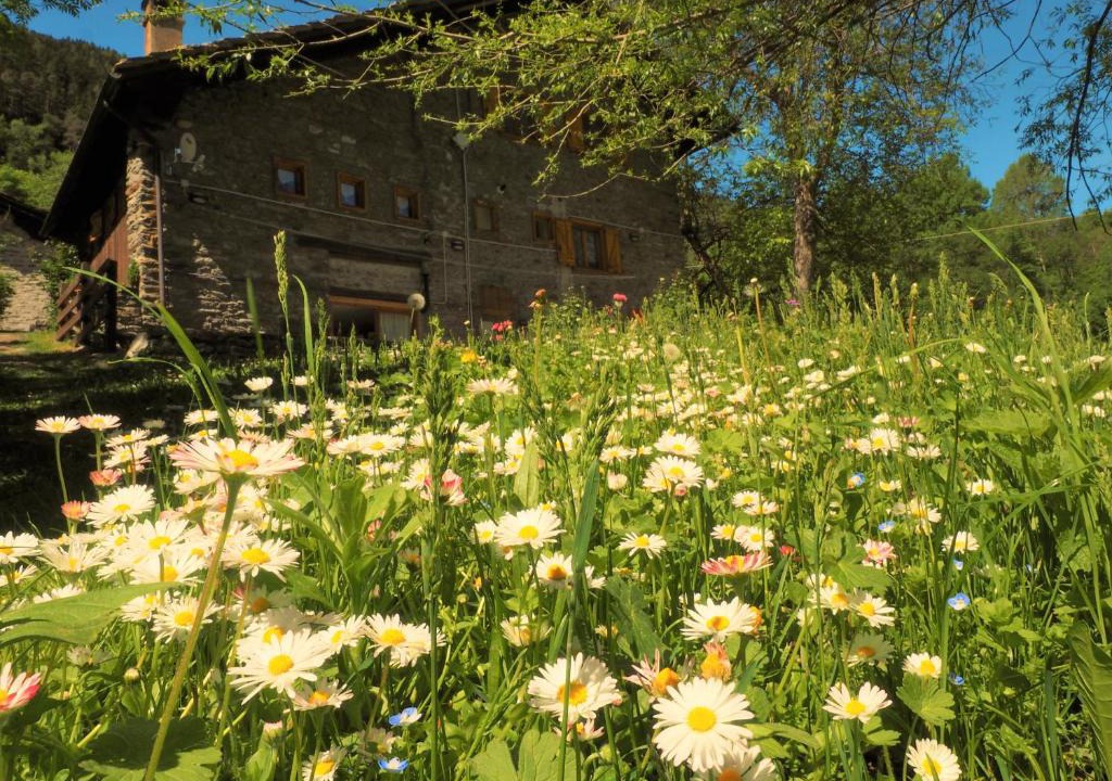 Derby-villaret Bed & Breakfast | Grange Epiney Bed e Breakfast