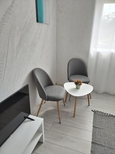 Vojvodina Apartment | HiT apartmani Pačir
