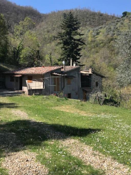 Neri House | Il cuore nel bosco