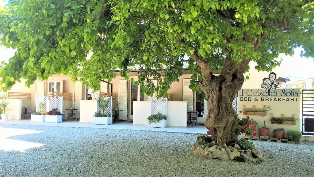 Tortoreto Lido Bed & Breakfast | Il Gelso di Sofia B&B