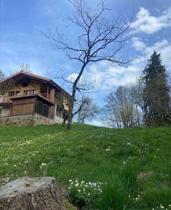 Graglia Ski Chalet | Il nocciòlo di Daisy