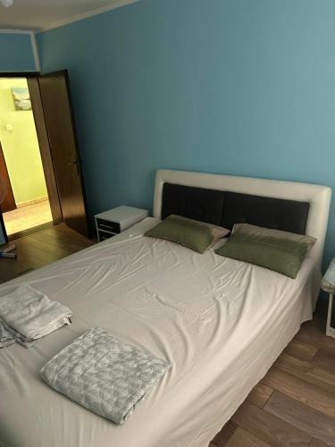 Veternik Apartment | Kuća za EXIT 2024