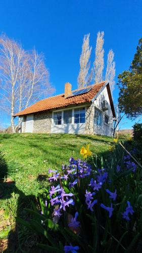 Petrovaradin House | Kućerak Višnja