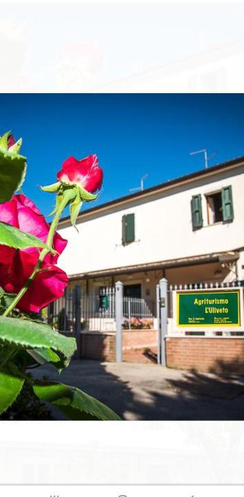 Candelara Villa | L'uliveto