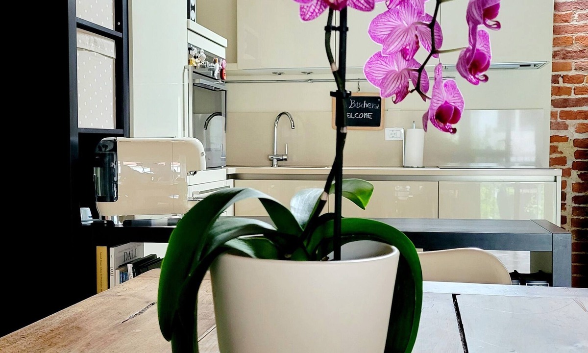Bra Apartment | La Buschera, a tiny house in the city center