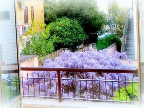 La Casa Di Eva | Aurelio