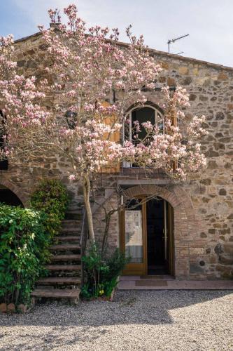Greve in Chianti Bed & Breakfast | La Magnolia