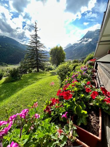 Arnoga Apartment | La Tana dell'Orso Bormio - Nature and Welness